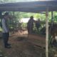 Ketahanan Pangan dari Rumah: Polri Ajak Warga Tanam Sayur di Pekarangan