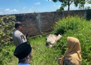 Koordinasi Polsek Kediri-Gerung Berbuah Hasil, Motor Curian Diamankan