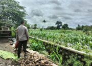 Kapolsek Labuapi Tekankan Kolaborasi Polri dan Warga untuk Ketahanan Pangan