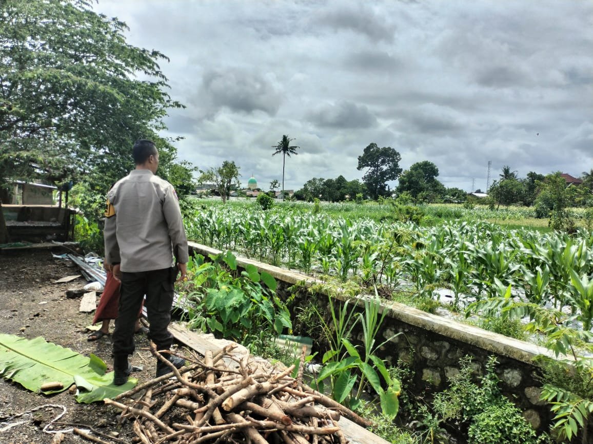 Bhabinkamtibmas Labuapi Aktif Dorong Ketahanan Pangan di Tingkat Petani