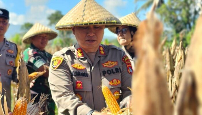 Ketahanan Pangan: Kunjungan Strategis Kapolres Lombok Barat