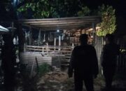 Kegiatan Patroli Intensif, Polsek Sekotong Jamin Keamanan Kandang Kumpul