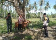 Bhabinkamtibmas Batulayar Giatkan Pertanian Pekarangan Warga