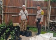 Ketahanan Pangan Nasional Dimulai dari Pekarangan Rumah: Inisiatif Polsek Kuripan