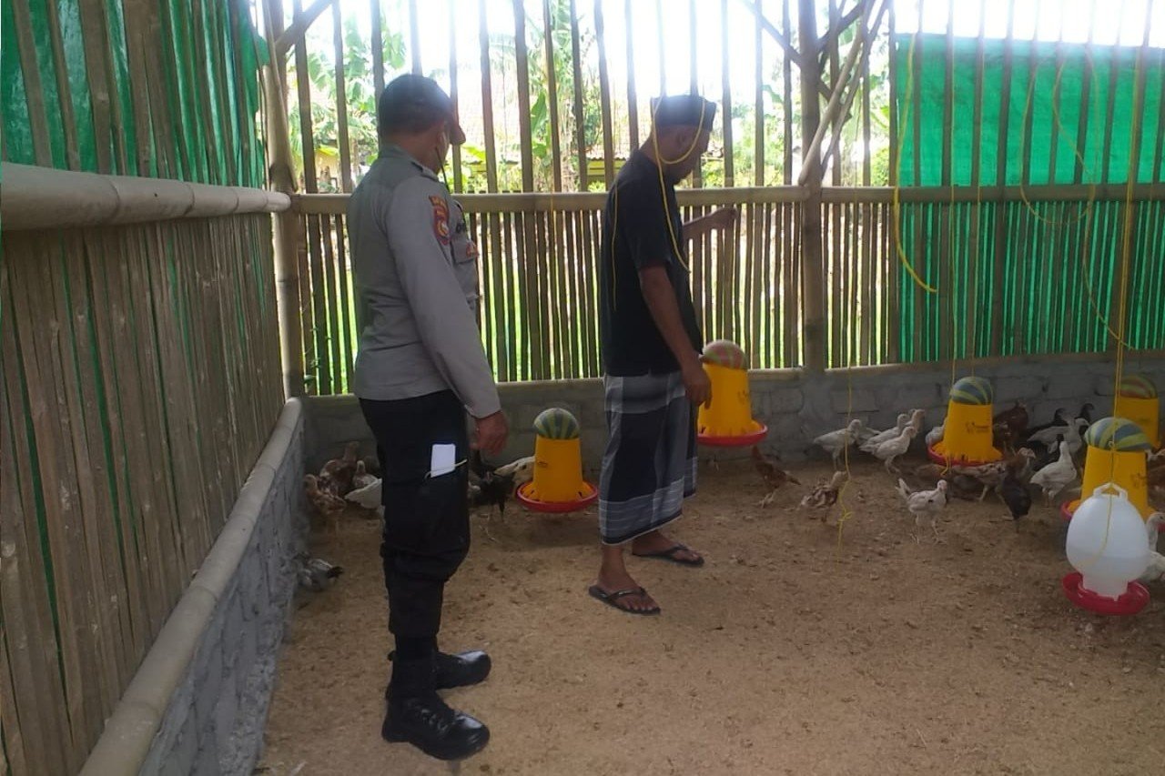 Menggerakkan Ketahanan Pangan, Bhabinkamtibmas Jagaraga Kunjungi Peternak Ayam Mandiri