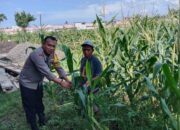 Program Ketahanan Pangan Nasional: Langkah Konkret Polri di Lombok Barat