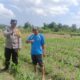 Sinergi Polri dan Petani: Polsek Gerung Galakkan Pemanfaatan Lahan Pekarangan untuk Pangan Bergizi