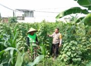 Polri Aktif Dukung Ketahanan Pangan Lewat Kegiatan Sambang Desa