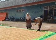 Bantu Kegiatan Petani di Desa Binaan Bhabinkamtibmas Polsek Soromandi Sukseskan Program Ketahanan Pangan Nasional