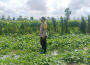 Polisi Gandeng Petani Desa Beleka Wujudkan Ketahanan Pangan