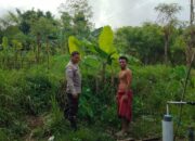 Aipda Mamad Firmansyah Ajak Warga Kedaro Tanam Pangan di Lahan Pekarangan