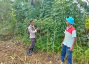 Sinergi Polri dan Warga Desa Rumak Wujudkan Swasembada Pangan di NTB