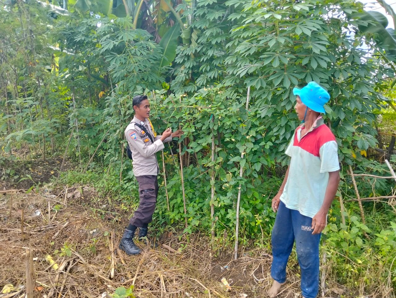 Bhabinkamtibmas Desa Rumak Aktif Edukasi Warga Soal Swasembada Pangan