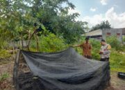 Kepolisian Kediri Dukung Ketahanan Pangan Lewat Program Rumah Hijau