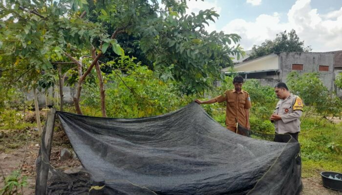 Kepolisian Kediri Dukung Ketahanan Pangan Lewat Program Rumah Hijau