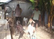 Petani di senggigi dan Polisi Bangun Ekosistem Pangan Berkelanjutan