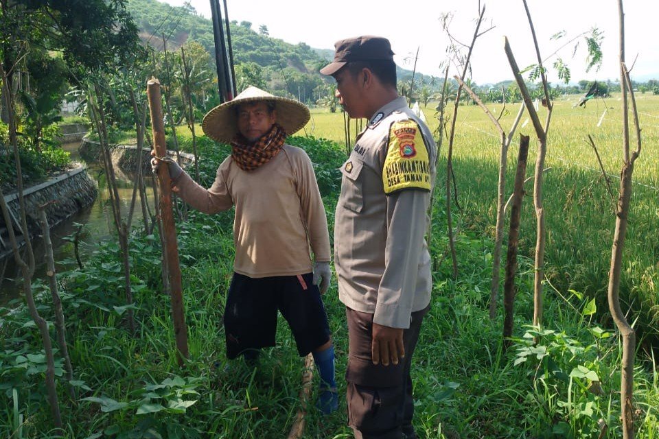 Bhabinkamtibmas Taman Ayu Galakkan Ketahanan Pangan Keluarga