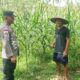 Bhabinkamtibmas Taman Baru Giat Dorong Pemanfaatan Lahan Kosong