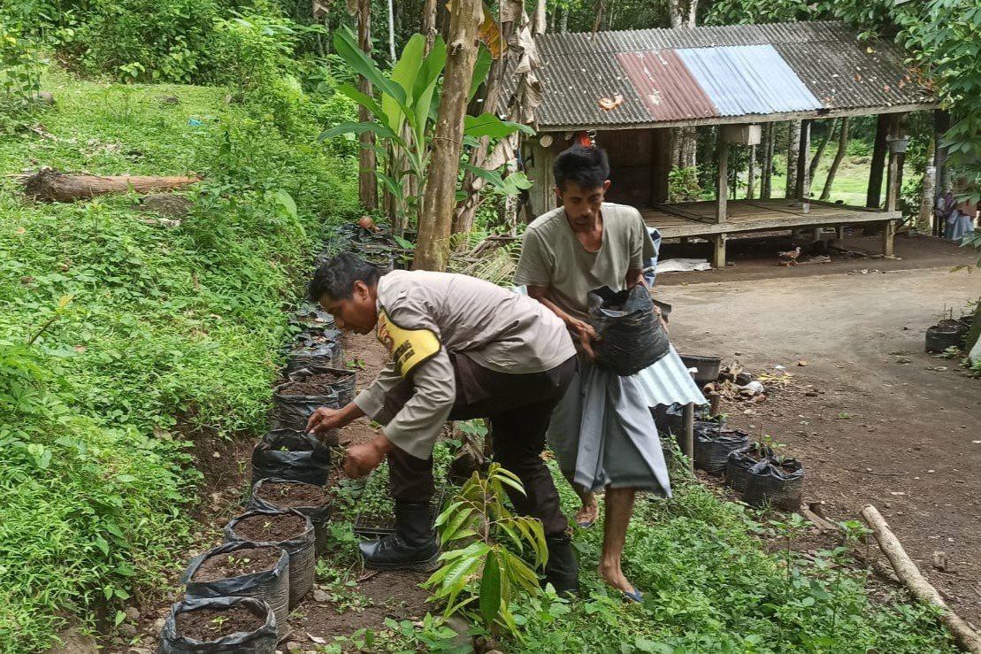 Membangun Ketahanan Pangan dari Pekarangan Rumah, Kisah Inspiratif dari Desa Batulayar (1)