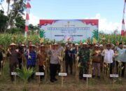 Dukungan Penuh Polri dan Pemda dalam Panen Raya Jagung NTB