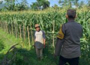 Optimalisasi Lahan Kosong, Polres Lombok Barat Giatkan Program Pangan