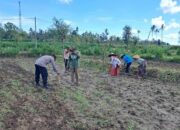 Peran Polri Dalam Swasembada Pangan di Sekotong, NTB