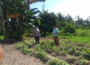 Polri Gandeng Petani Lombok Barat, Wujudkan Ketahanan Pangan Keluarga