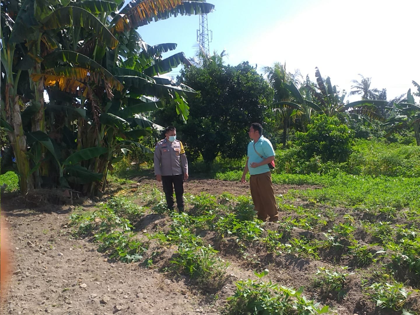 Polri Dukung Ketahanan Pangan Nasional Bhabinkamtibmas Jagaraga Ajak Petani Manfaatkan Lahan Produktif