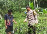 Sinergi Polri dan Warga Bangun Pekarangan Bergizi di Batulayar