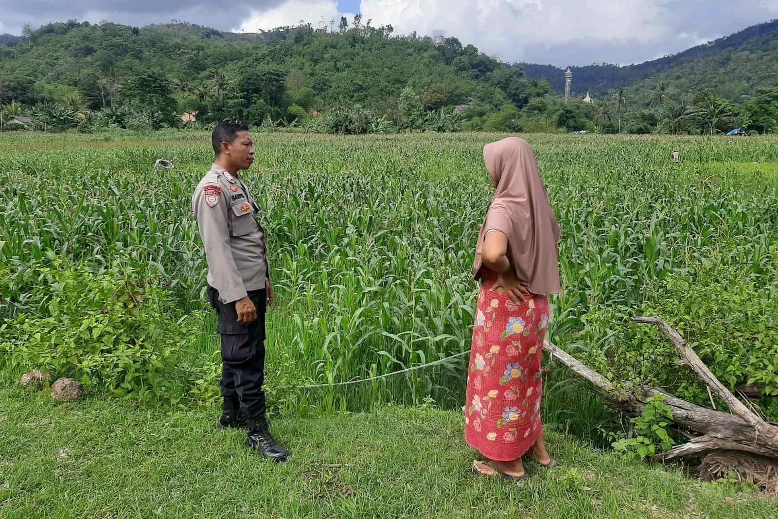 Polsek Lembar Dukung Ketahanan Pangan Lewat Sambang Petani di Sekotong Timur