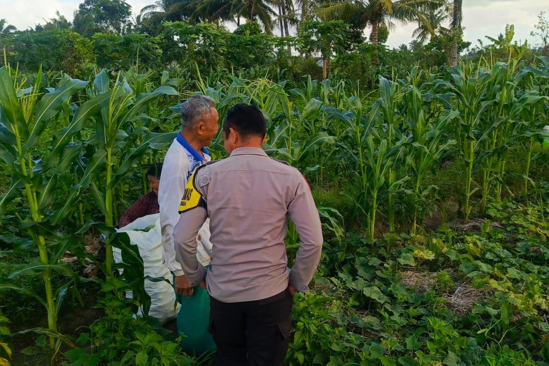 Sinergi Polisi dan Petani Wujudkan Ketahanan Pangan di Kuripan Utara