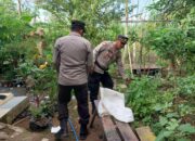 Motivasi Warga Binaan Manfaatkan Lahan Kosong dan Dukung Ketahanan Pangan Nasional Polsek Bolo Cek Pekarangan Bergizi