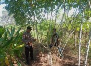 HUT Bhayangkara Ke-79, Polsek Soromandi Ikuti Lomba Pekarangan Pangan Bergizi