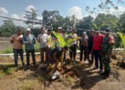 Sambut HUT Bhayangkara Ke-79, Polsek Bolo Bersama PSDHA Laksanakan Penanaman Pohon kelapa