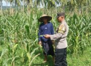Pekarangan Bergizi di Sekotong: Inisiatif Polri Dorong Produksi Pangan