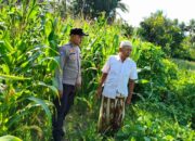 Langkah Strategis Polri Jaga Ketahanan Pangan di Desa Mareje Timur