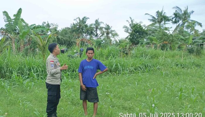 Bhabinkamtibmas Aktif di Ladang: Ketahanan Pangan Dimulai dari Desa
