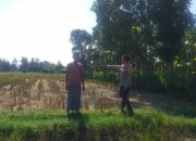 Bakti Polri untuk Pangan: Bhabinkamtibmas Aktif di Jagaraga, Lombok Barat