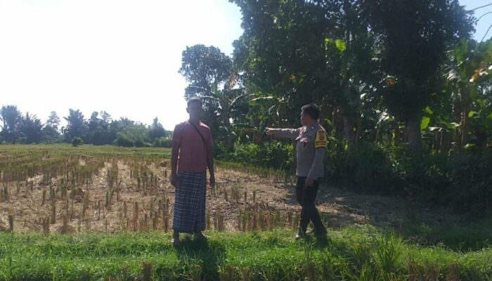 Bakti Polri untuk Pangan: Bhabinkamtibmas Aktif di Jagaraga, Lombok Barat