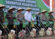 Penanaman Jagung Serentak di Gerung: Wujud Kolaborasi Polda NTB dan Masyarakat
