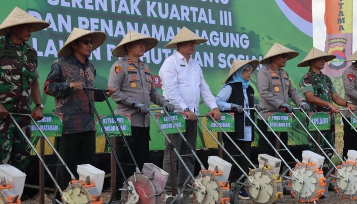 Penanaman Jagung Serentak di Gerung: Wujud Kolaborasi Polda NTB dan Masyarakat