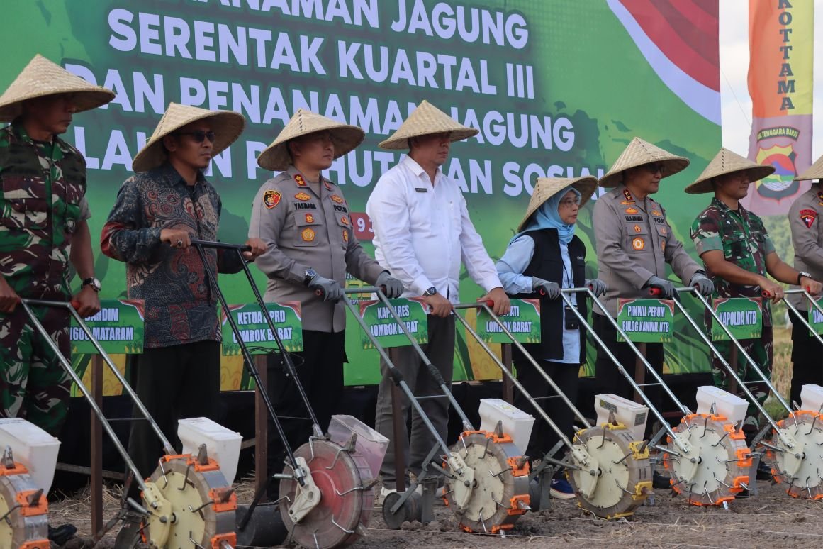 Ketahanan Pangan NTB, Polda dan Pemda Tanam Jagung Serentak di Lombok Barat