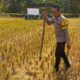 Kunjungan Bhabinkamtibmas Kuripan Utara, Ajak Petani Dukung Ketahanan Pangan Nasional