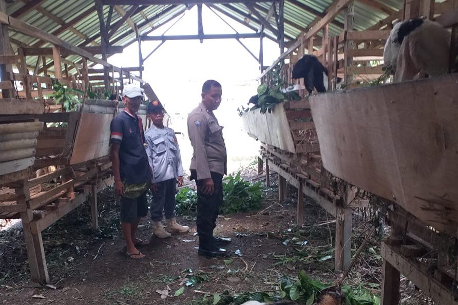 Kuripan Timur Dorong Kemandirian Pangan Lewat Pendampingan Warga