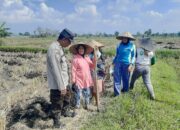 Peran Strategis Bhabinkamtibmas dalam Ketahanan Pangan di Kecamatan Kediri