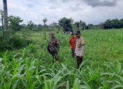 Blue Light Patrol, Upaya Polres Lobar Tangkal Begal & Balap Liar