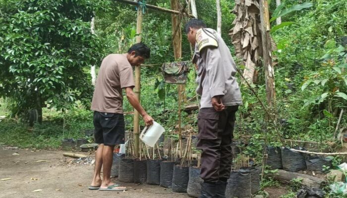 Program Pekarangan Bergizi di Batulayar: Upaya Kolektif Bangun Ketahanan Pangan