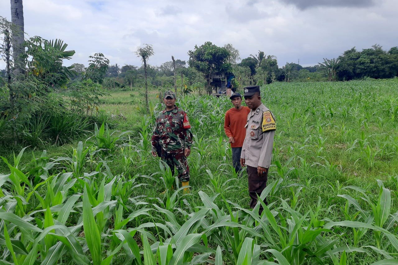 Sinergi Polisi dan Petani di Dusun Nyiur Gasing Dukung Ketahanan Pangan