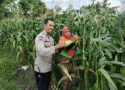 Pekarangan Produktif, Desa Aman: Inisiatif Ketahanan Pangan Bhabinkamtibmas Labuapi