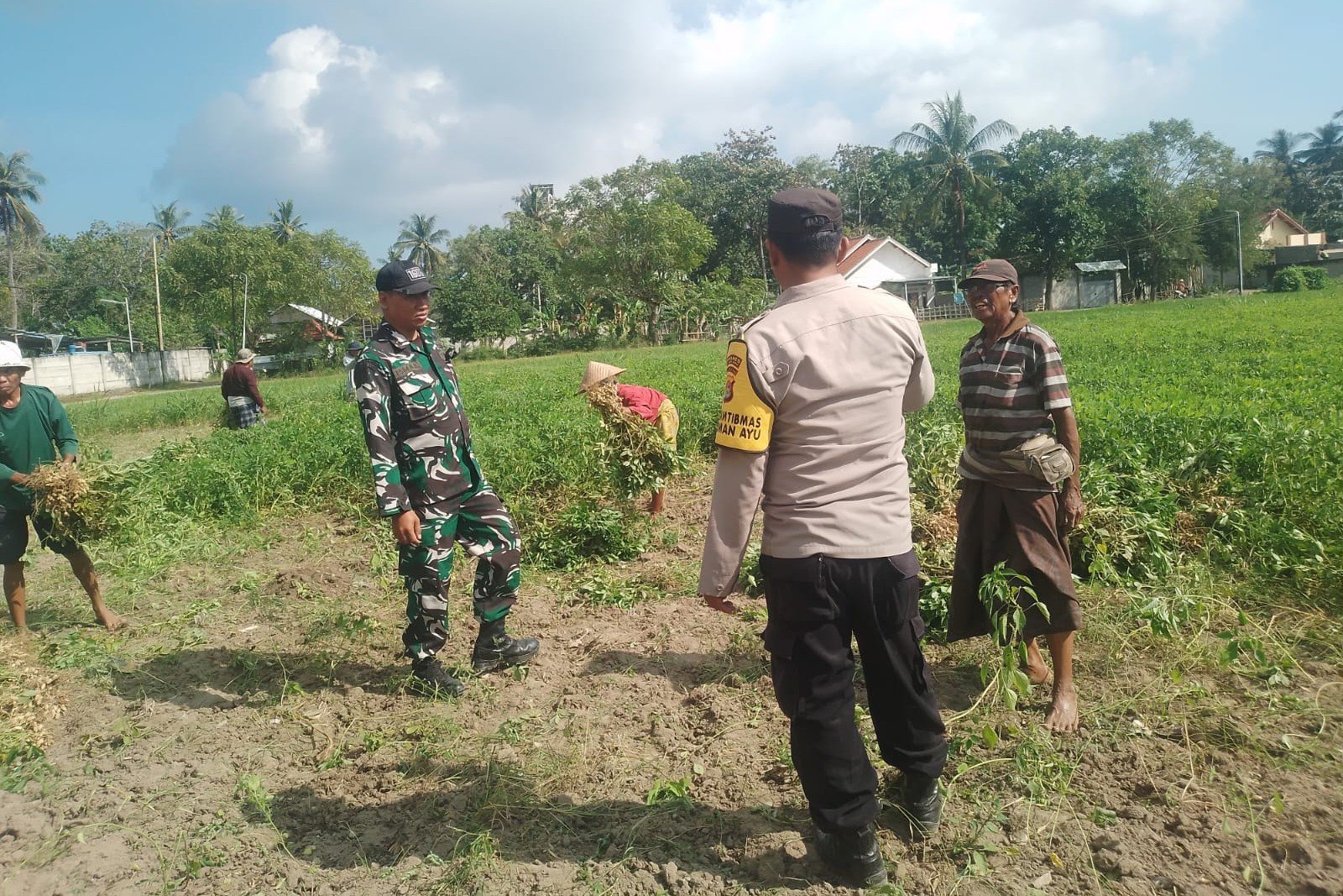 Sinergi TNI-Polri Dukung Ketahanan Pangan di Desa Taman Ayu, Gerung
